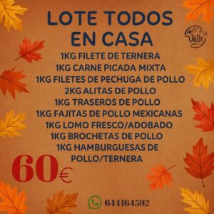 Lote todos en casa