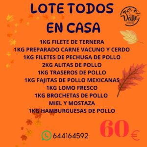 Lote todos en casa
