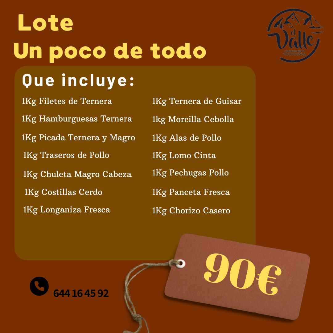 WhatsApp Image 2026-02-13 at 17.45.10